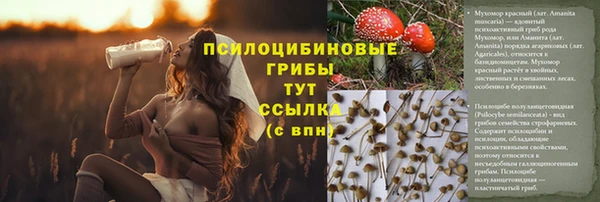 прущие крисы Алексин
