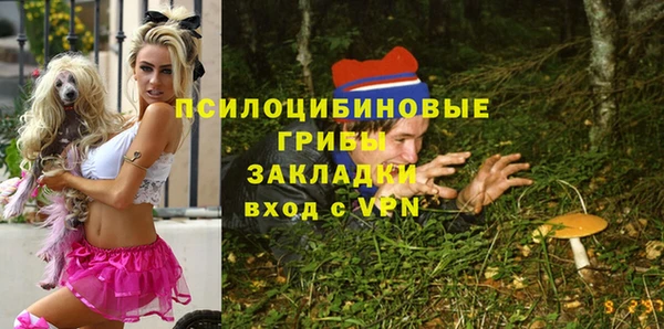 прущие крисы Алексин