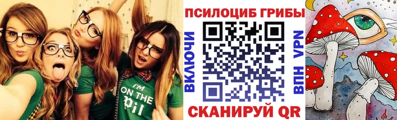 закладки МЕГА как зайти Псилоцибиновые грибы Psilocybe Межгорье